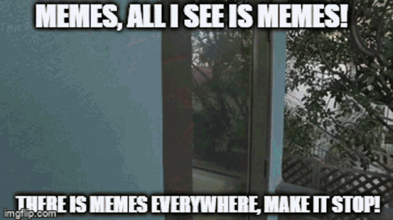 Memes everywhere!